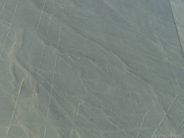 geoglifos de nazca 033